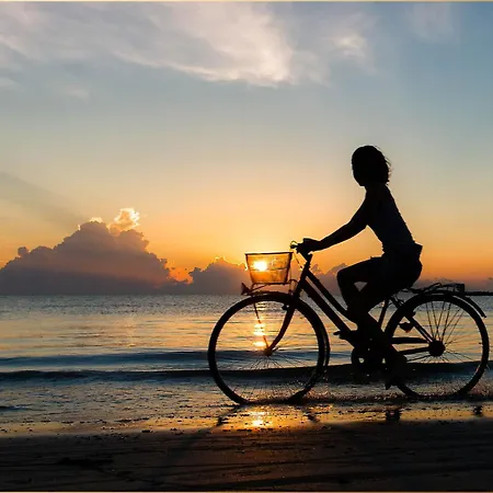 Ostse Nest * לודין