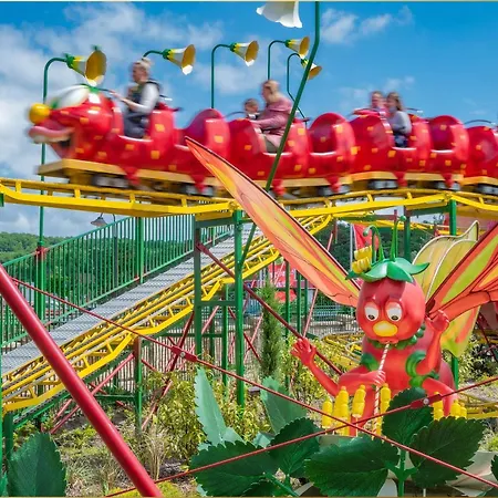 Ostse Nest לודין